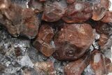 Lustrous Bustamite Crystals on Galena - Broken Hill, Australia #209339-3